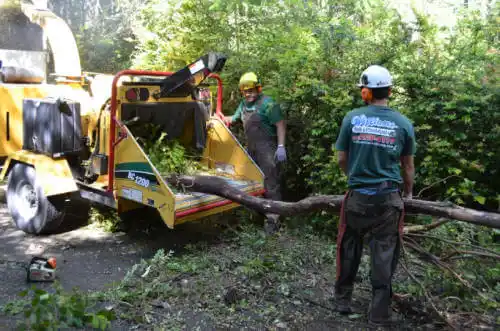 tree services Ohatchee